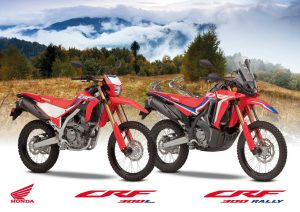 2021 HOnda CRF300L en 2021 Honda CRF300 RALLY